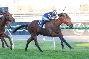 O'BRIEN LOOKS TO HANDICAPPER AFTER SASS SALUTES